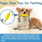 Interactive Corn Dog Chew Toy and Toothbrush