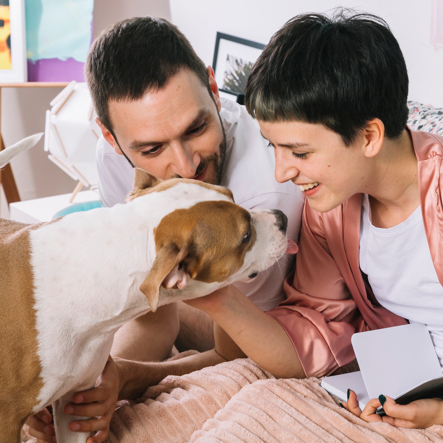 Pet Care & Comfort